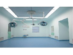 廣東凈化工程雙人風(fēng)淋門(mén)