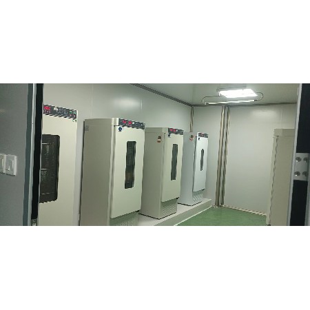 安徽東鵬實驗室新建項目(8)