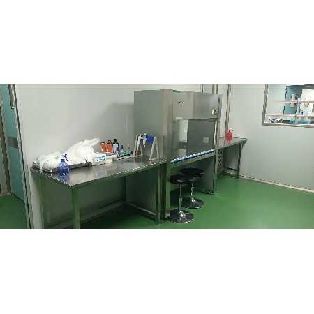 安徽東鵬實驗室新建項目(7)